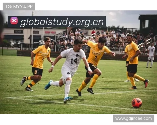 乐鱼体育备用平台技术升级带来更稳定的服务体验提升