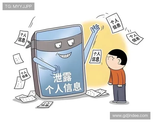 开云APP安全性分析及隐私保护措施确保玩家个人信息安全无忧