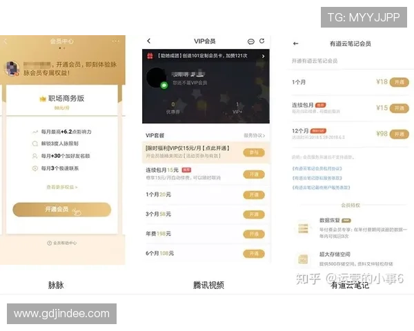 满冠会员升级指南详解不同等级的会员权益变化及提升技巧助你快速成长