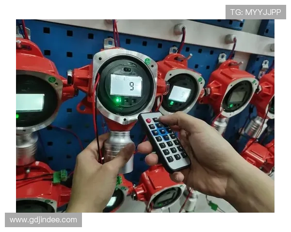 问鼎网址官方地址访问指南，确保每次登录都安全可靠的操作流程